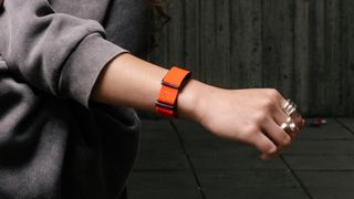 Polar Loop screenless