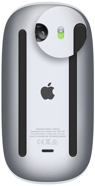 Apple mouse
