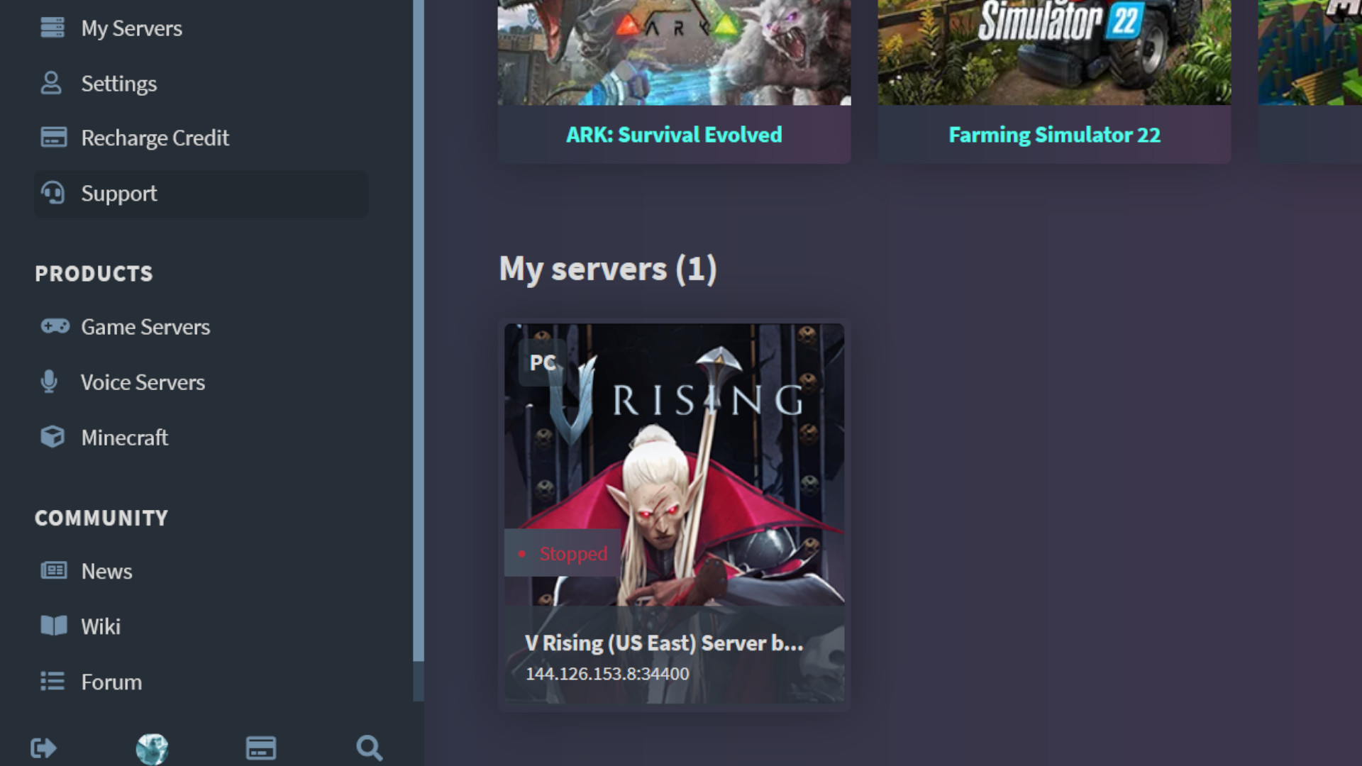 A private server in V Rising