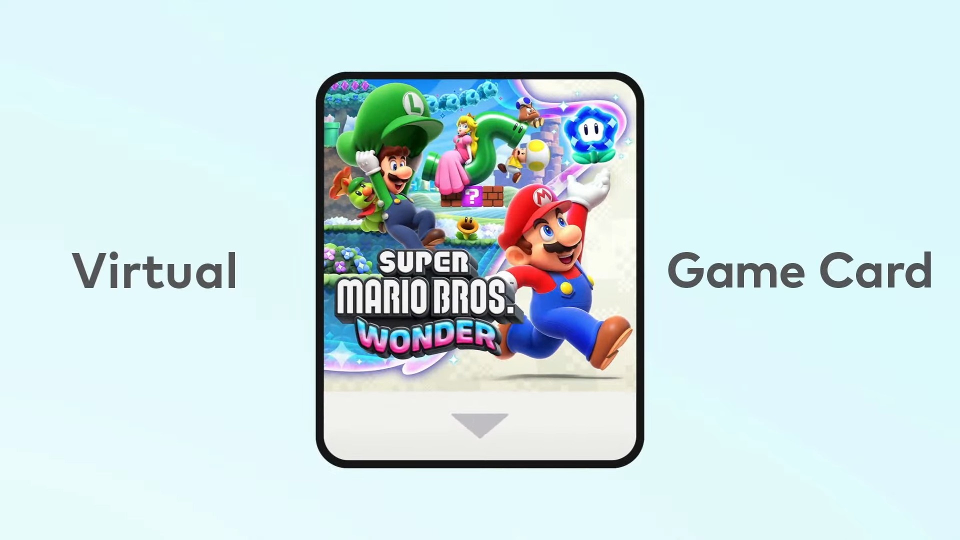 Nintendo Switch Digital Game Card