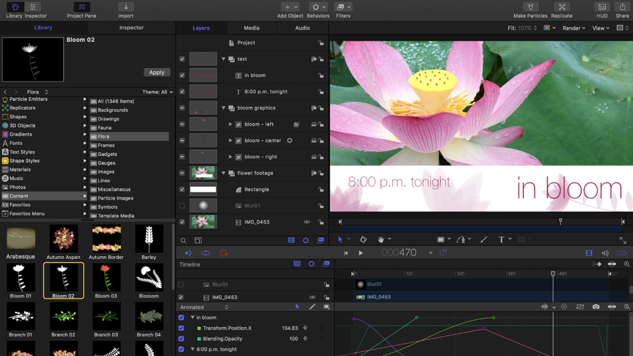 Apple Motion in use