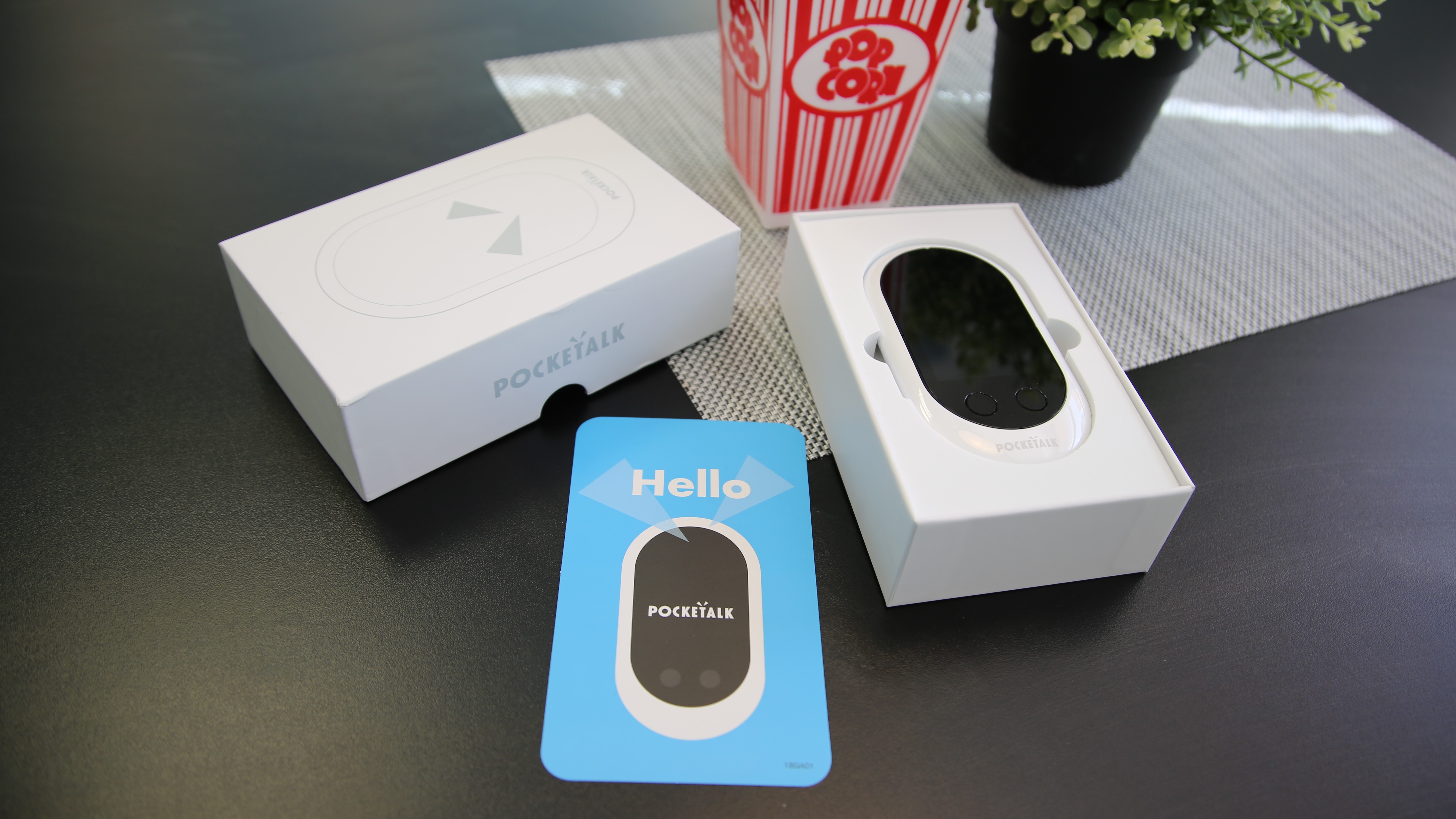Pocketalk Translator