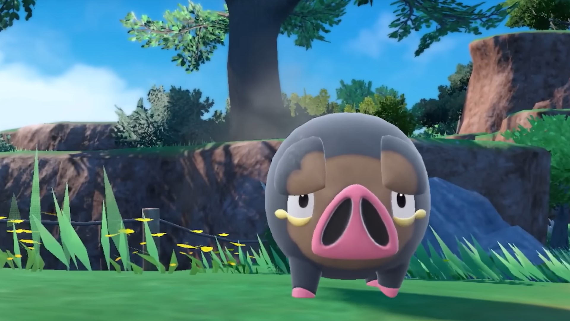 Lechonk frolicking in a field best Pok&eacute;mon games
