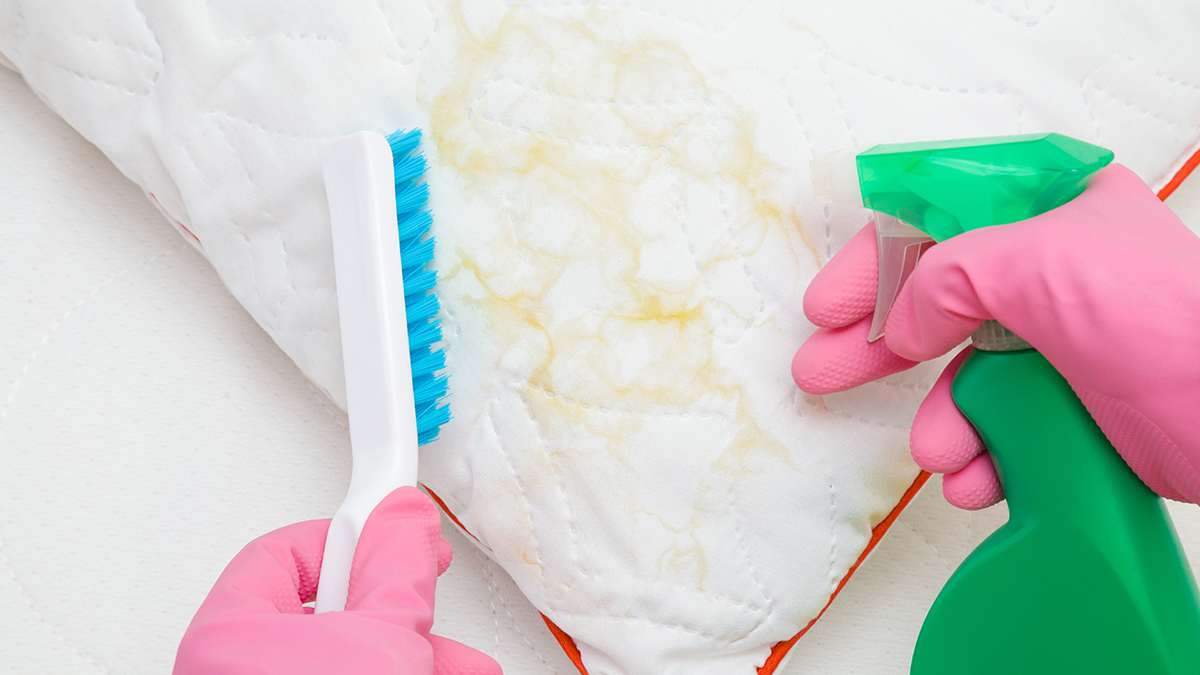 Dirty pillow being cleaned with brush and spray