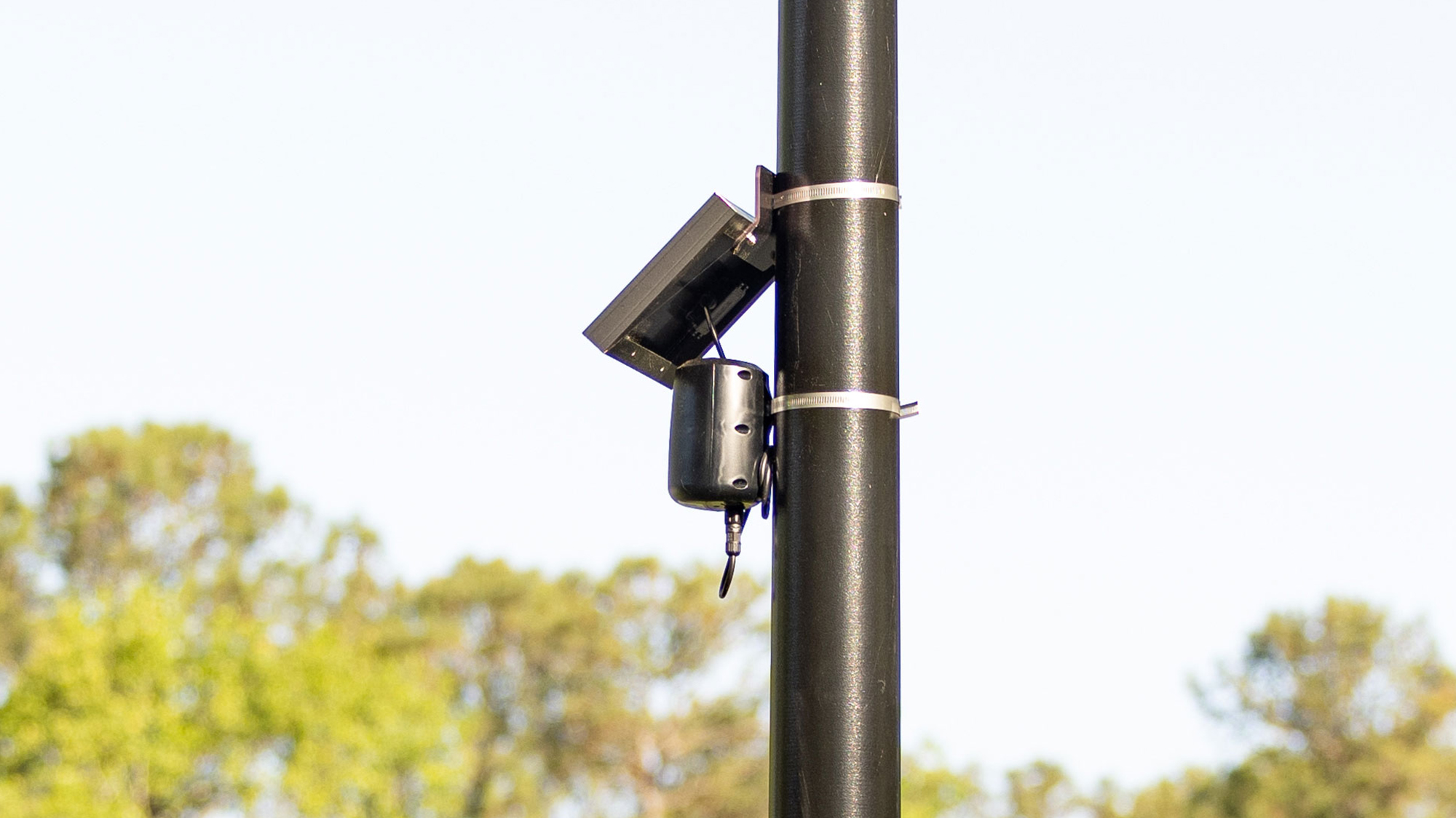 Flock acoustic detector