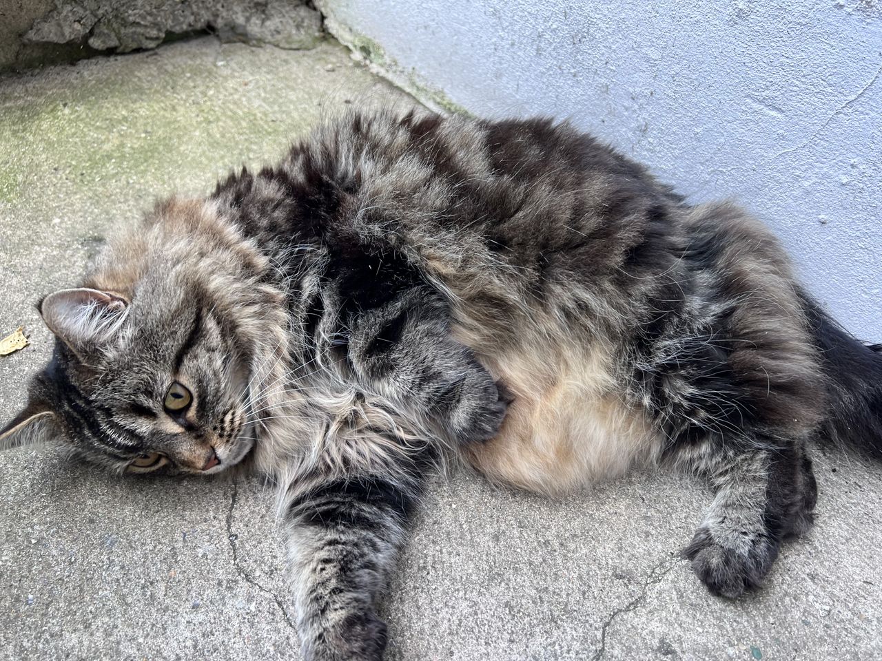 iPhone 13 Pro camera samples