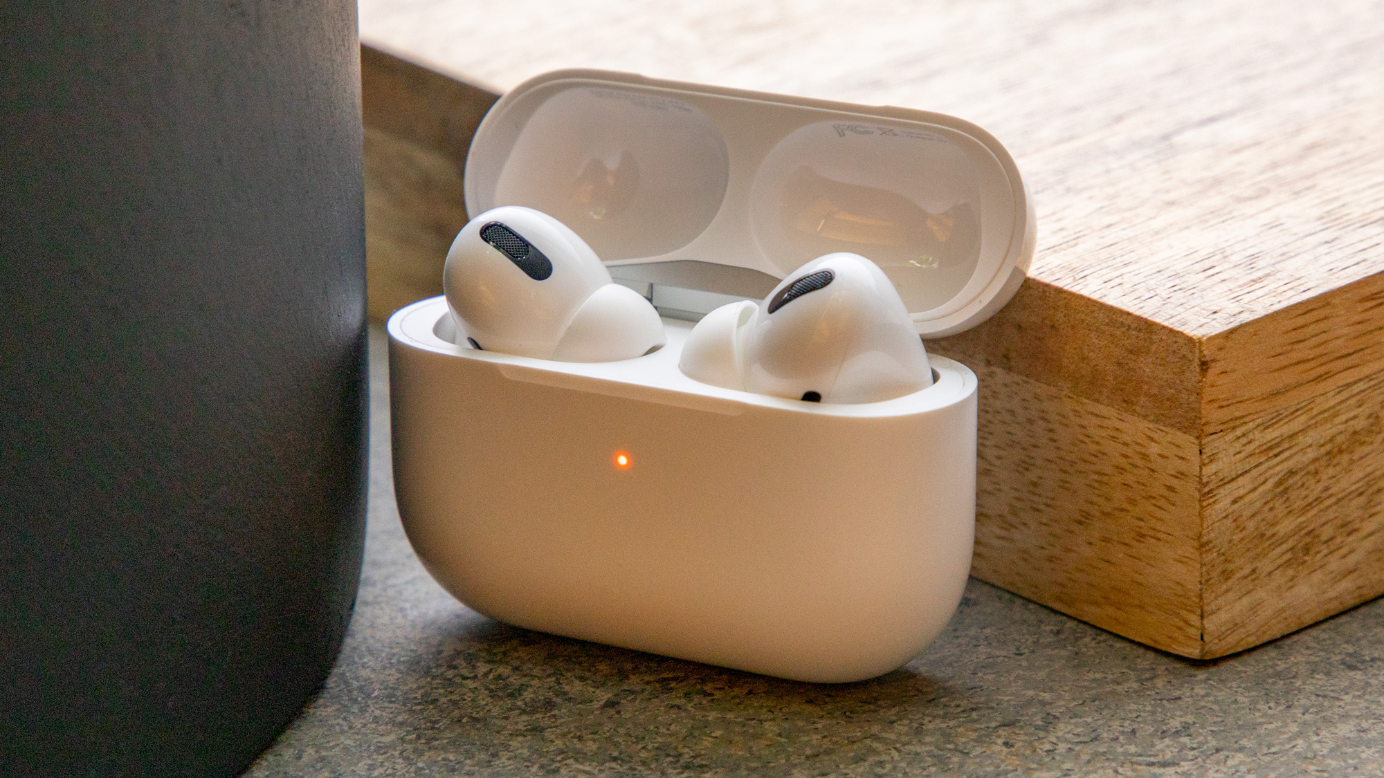 the AirPods Pro in their charging case