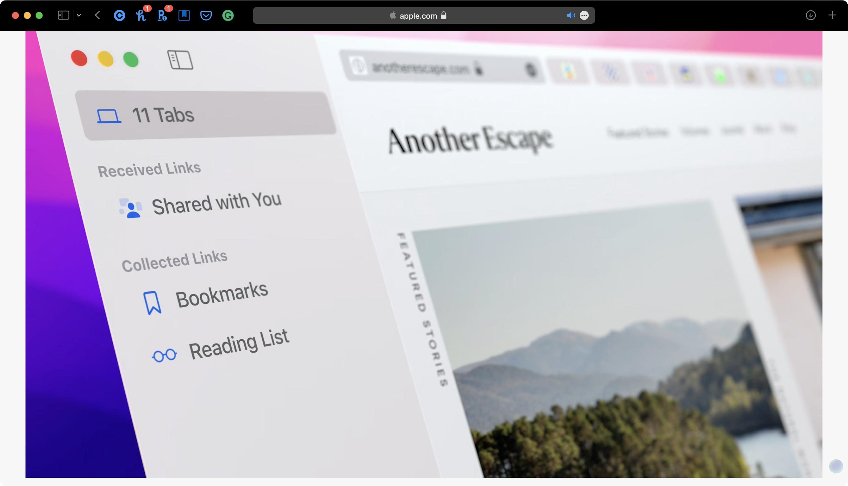 Safari in macOS 12 