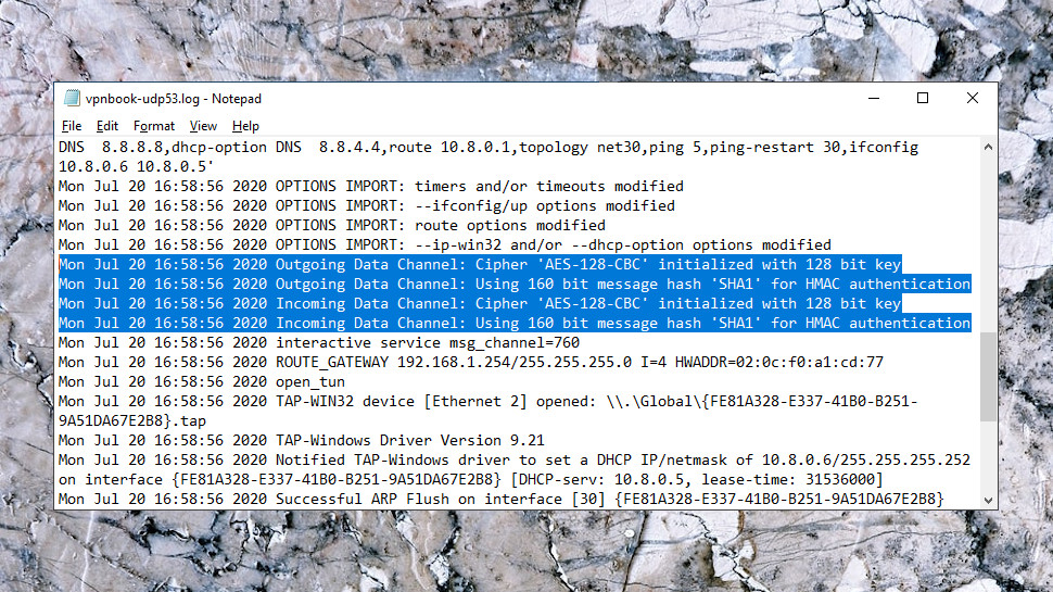 OpenVPN Logs