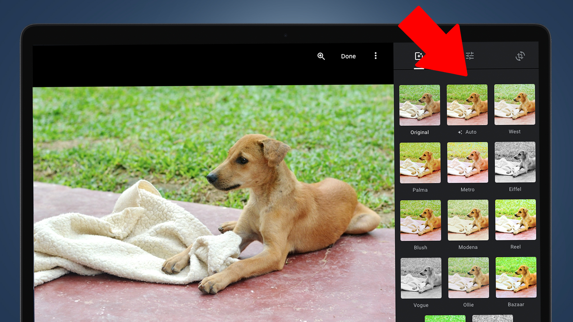 A laptop screen showing the Google Photos edit tools