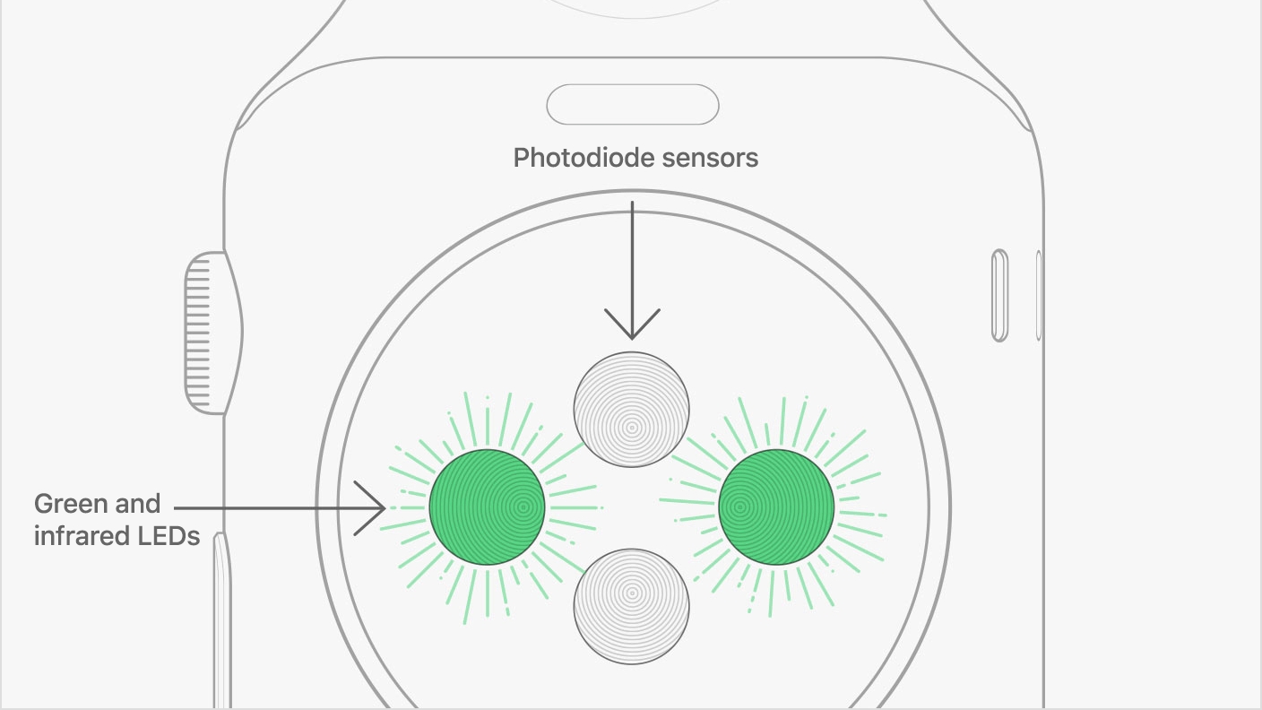 Here&amp;rsquo;s how the green LED lights look on the back of the Apple Watch. Credit: Apple