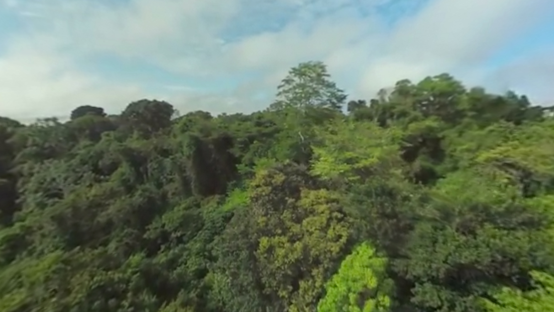 11. Amazon rainforest, Brazil