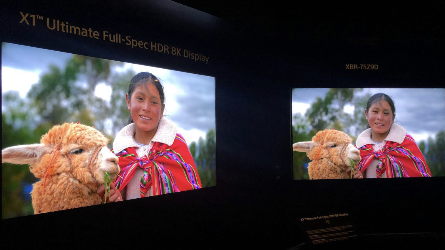 The new chip (powering the TV on the left) can go five times brighter than the ZD9 LCD flagship (right)