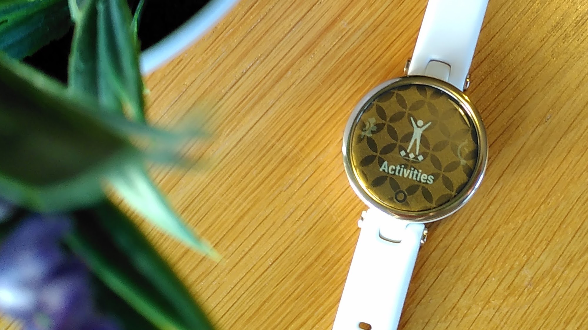 Garmin Lily