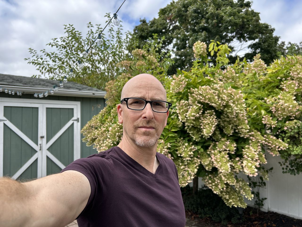 Apple iPhone 14 main camera portrait mode