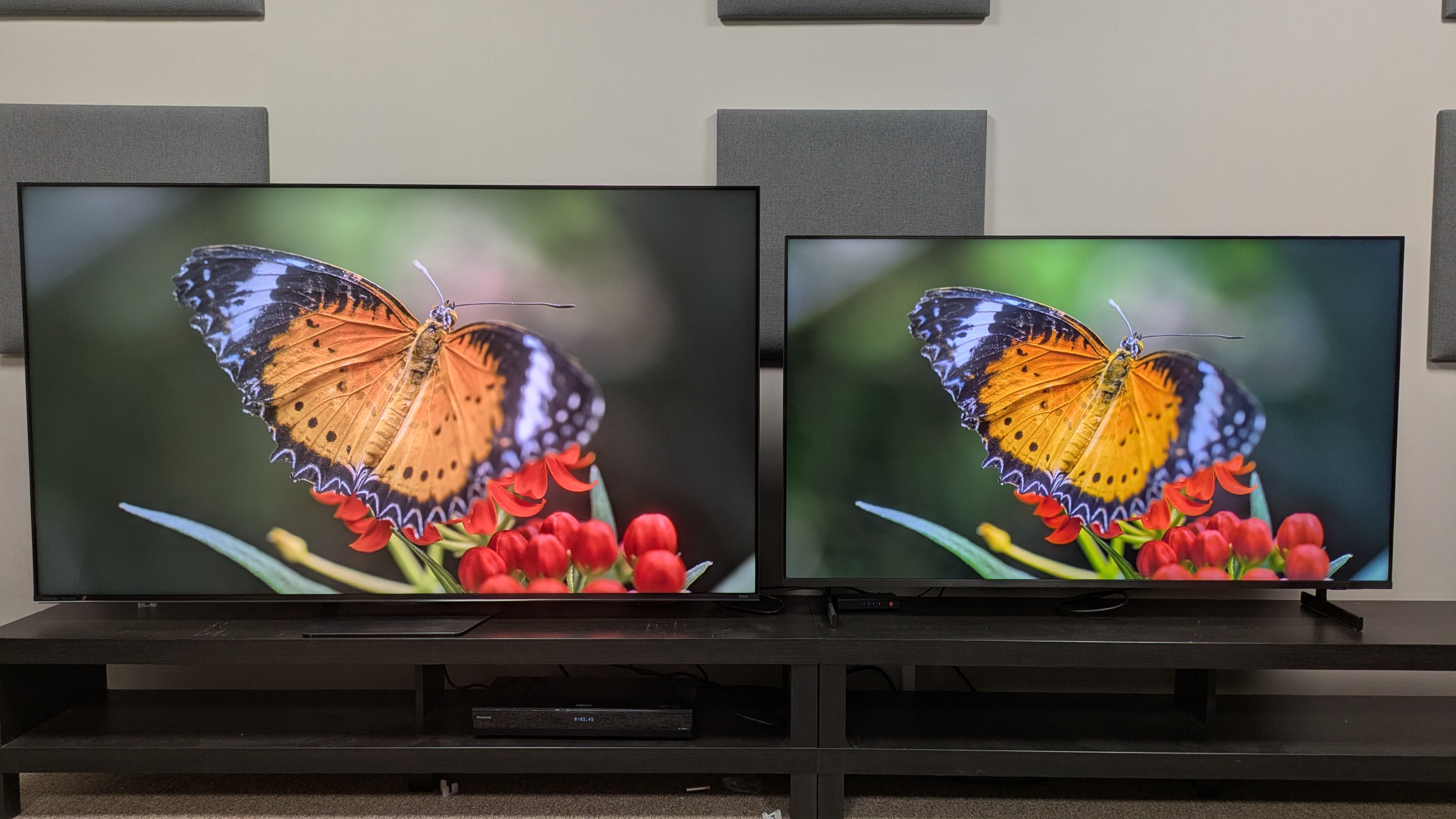 Hisense UR8 (left) vs Samsung QN80H (right) showing an orange butterfly. The QN80H's colors are bolder, despite the fact the UR8 uses RGB tech