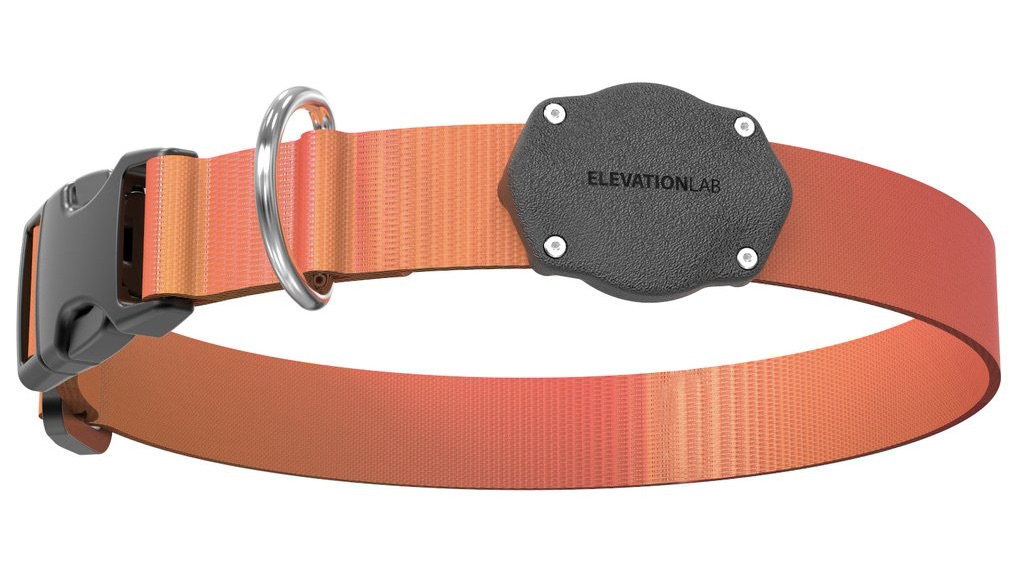 A dog collar with an attached container for an Apple AirTag