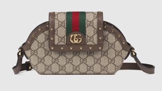 a gucci airpods max carrying case