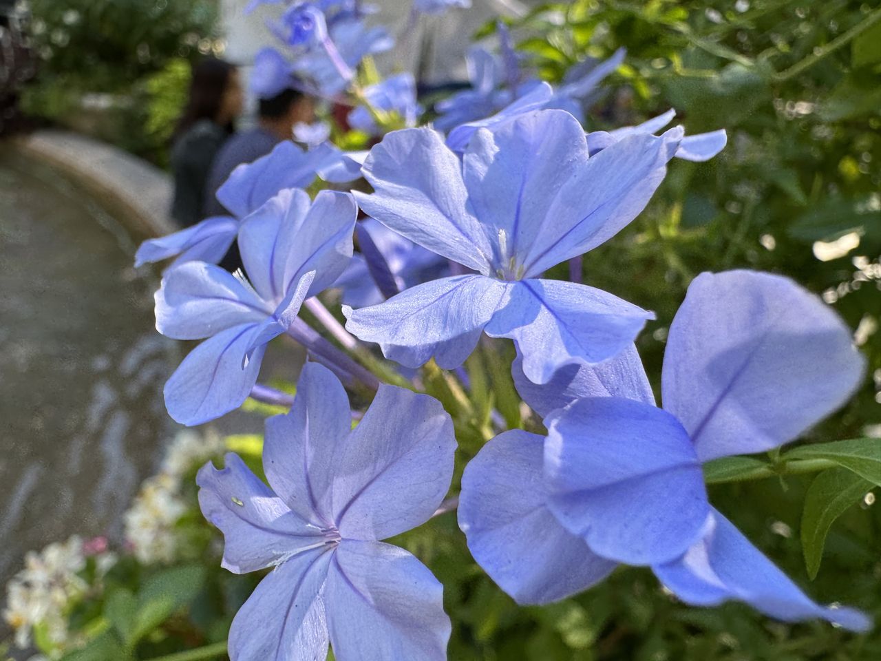 Apple iPhone 15 Pro Max camera samples