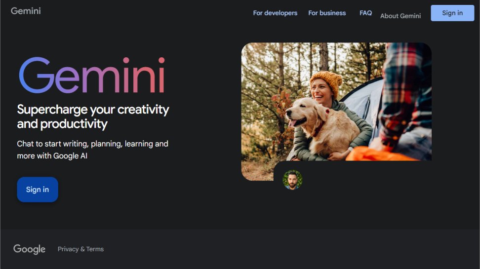Google Gemini