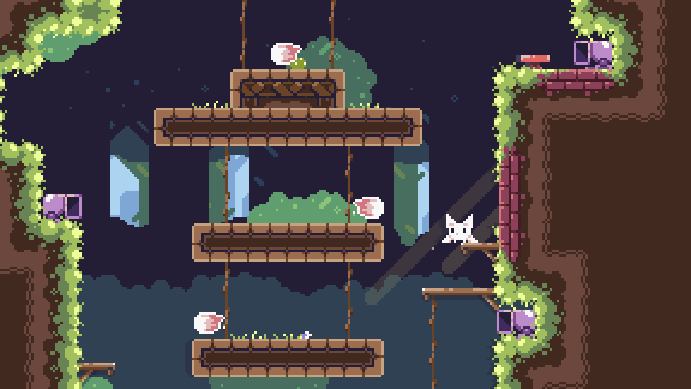 Cat Bird!