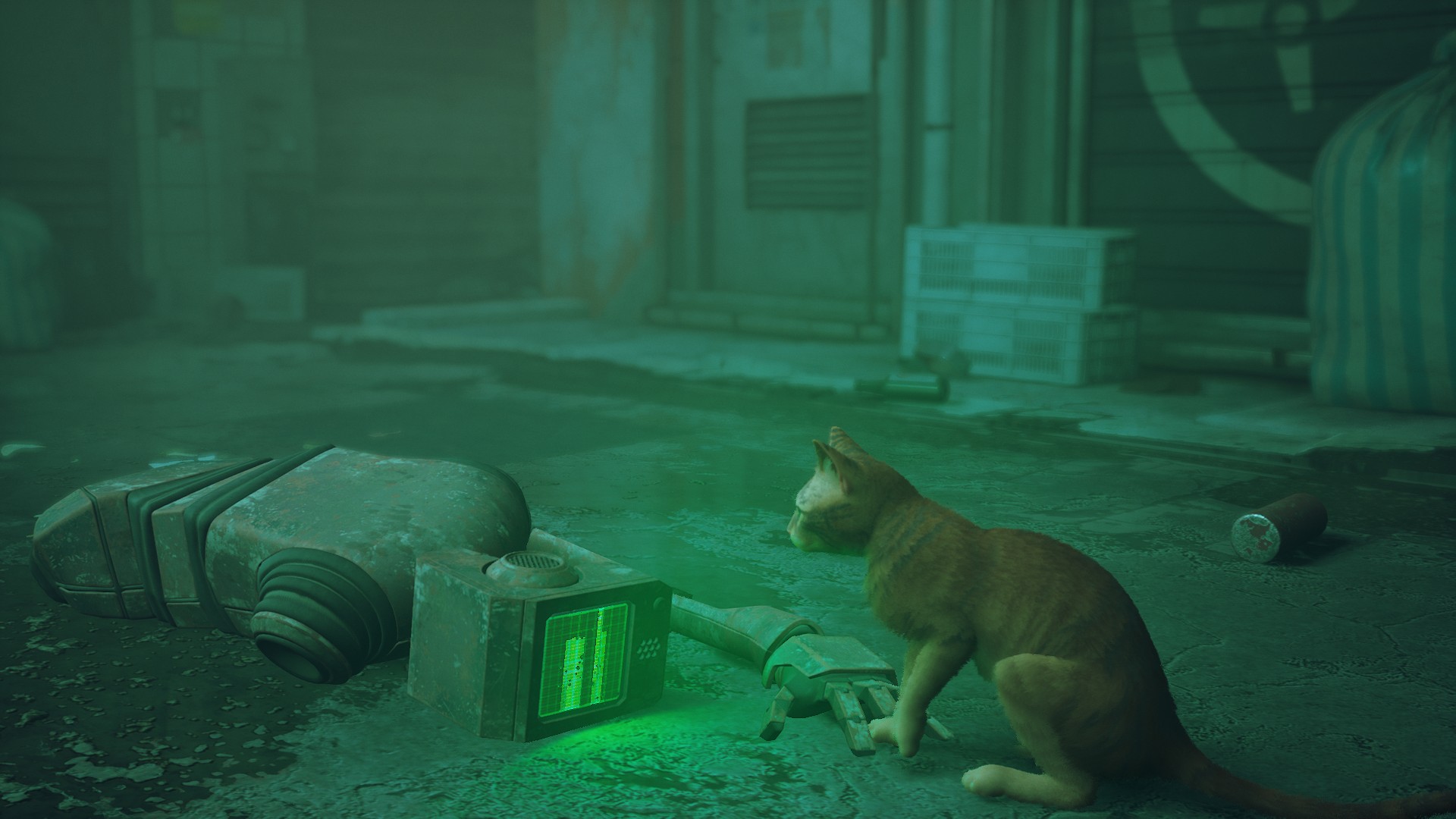 The cat paws at a broken robot in the Slums of Stray