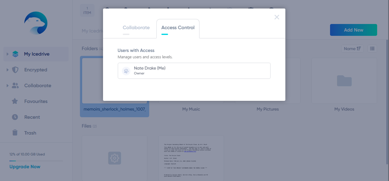 IceDrive cloud storage showing access options