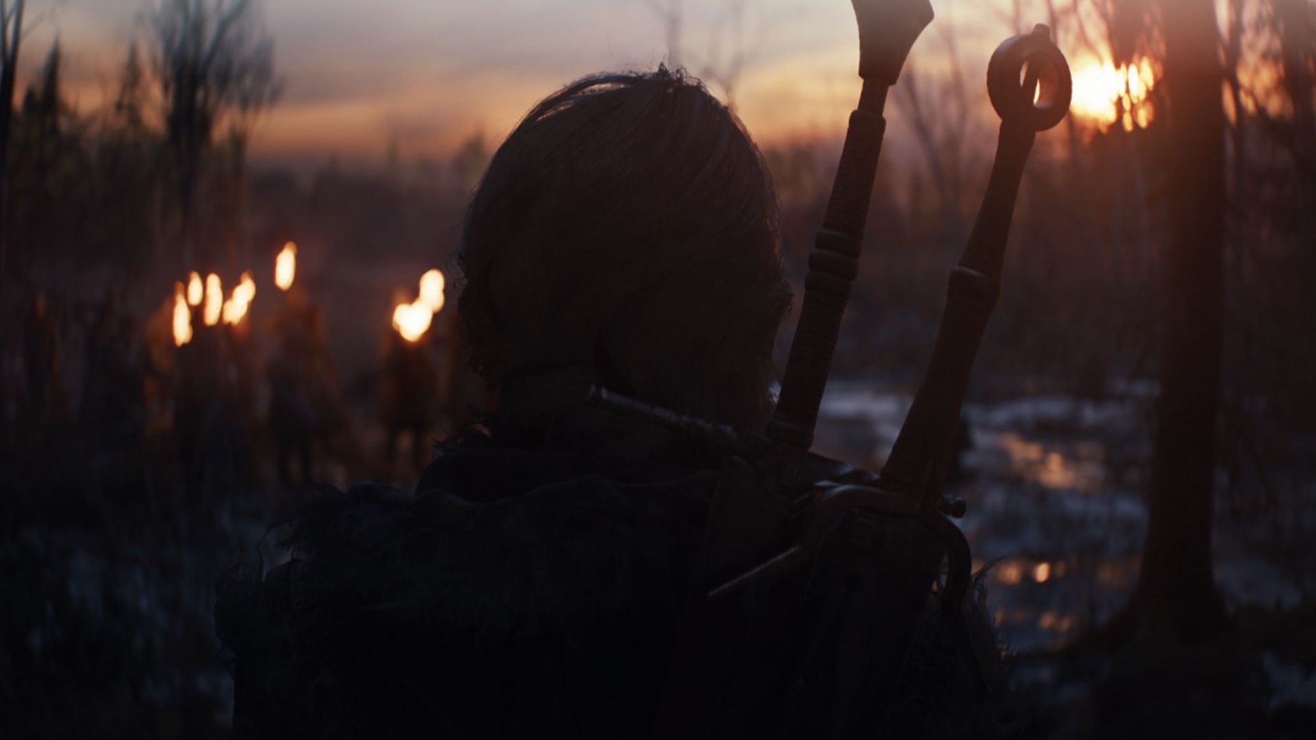 A shot of the back of Ciri's head, with her two sword hilts set against a shadowy background