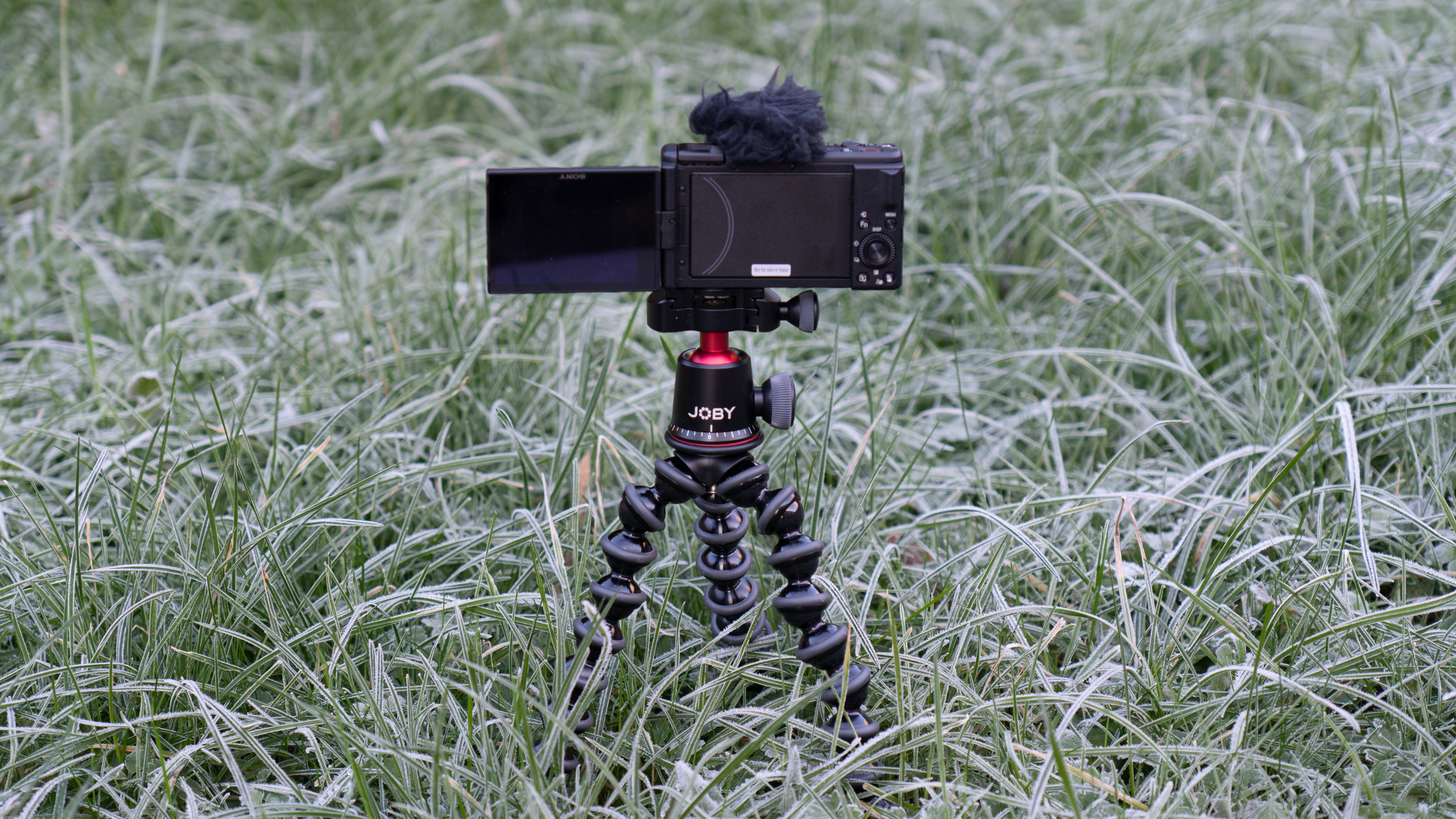 Sony ZV-F1 on a tripod in the middle of a frozen field