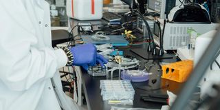Biohub's Virtual Biology Initiative