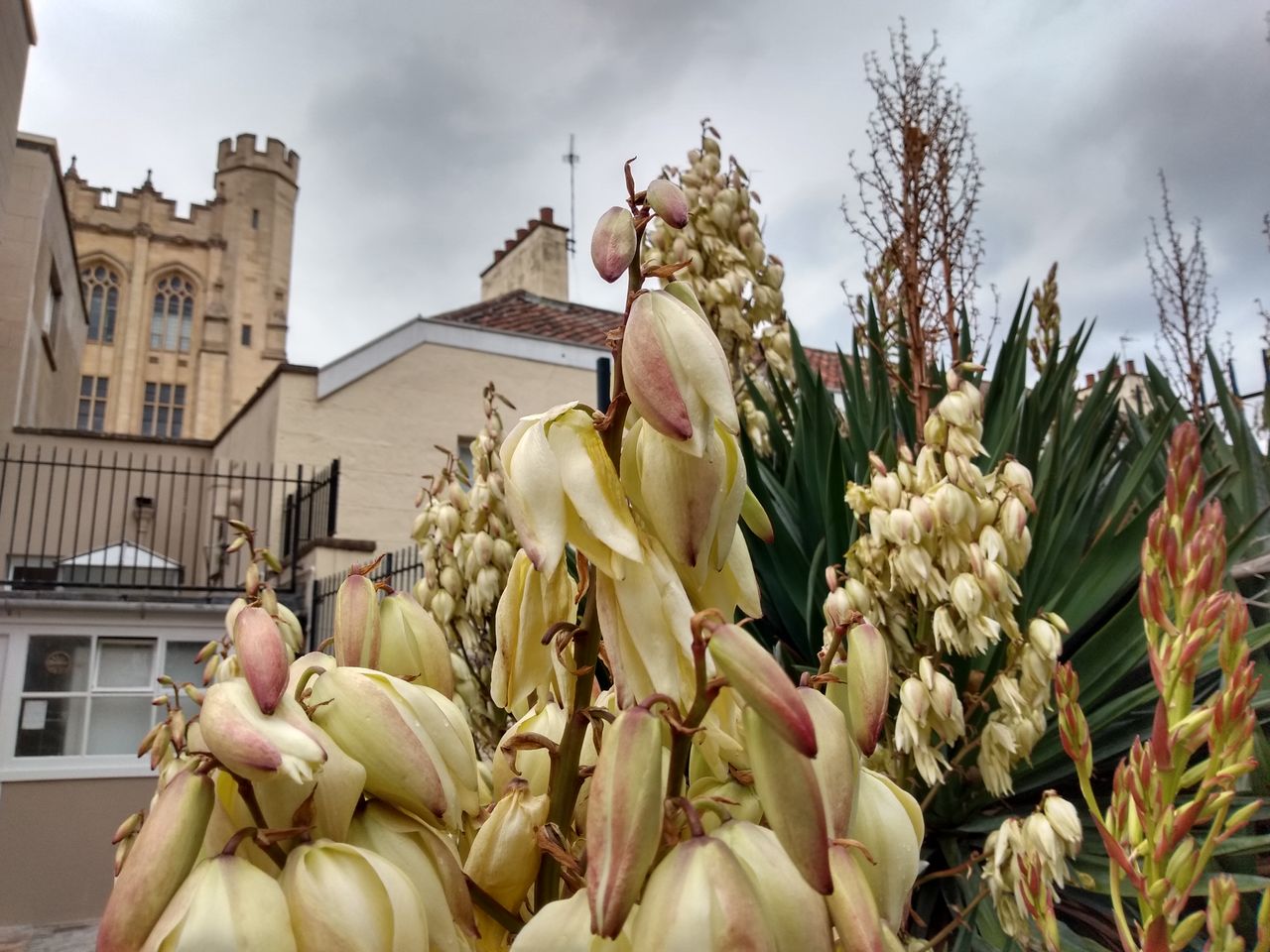 Decent detail on the flowers without completely blowing out the sky.