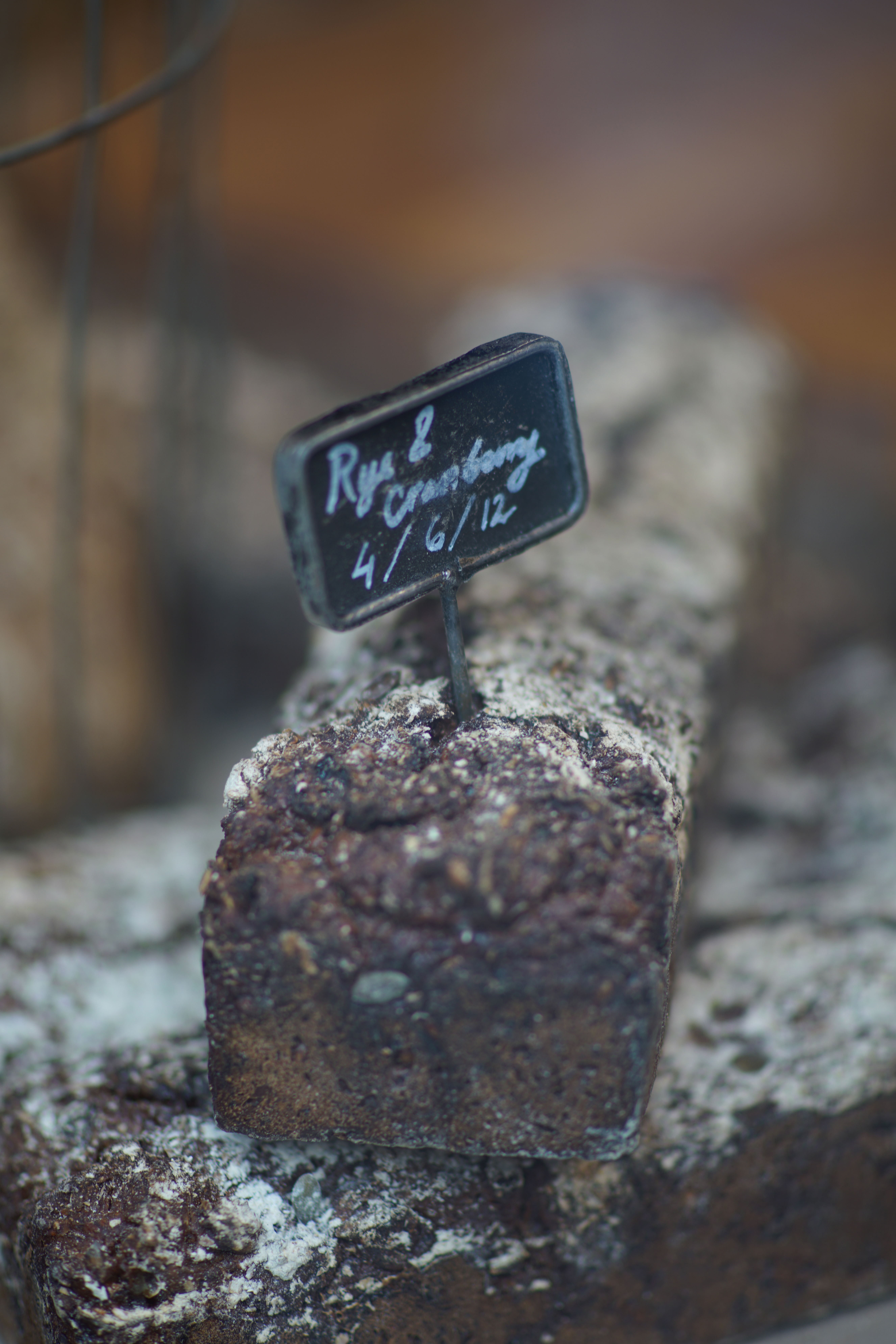The characteristics of the sensor appear almost identical to those of the A7R II's