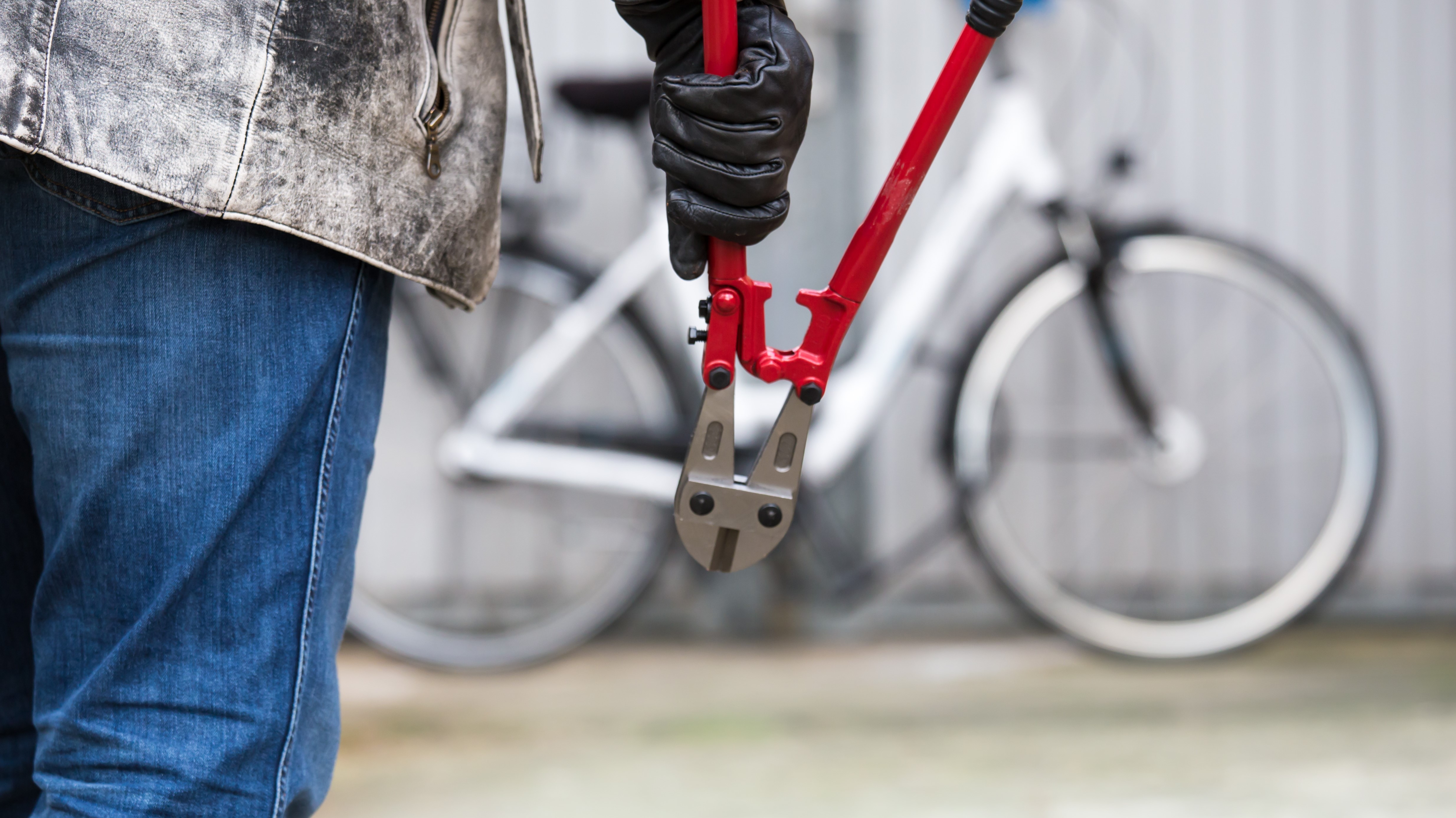 Bike thief