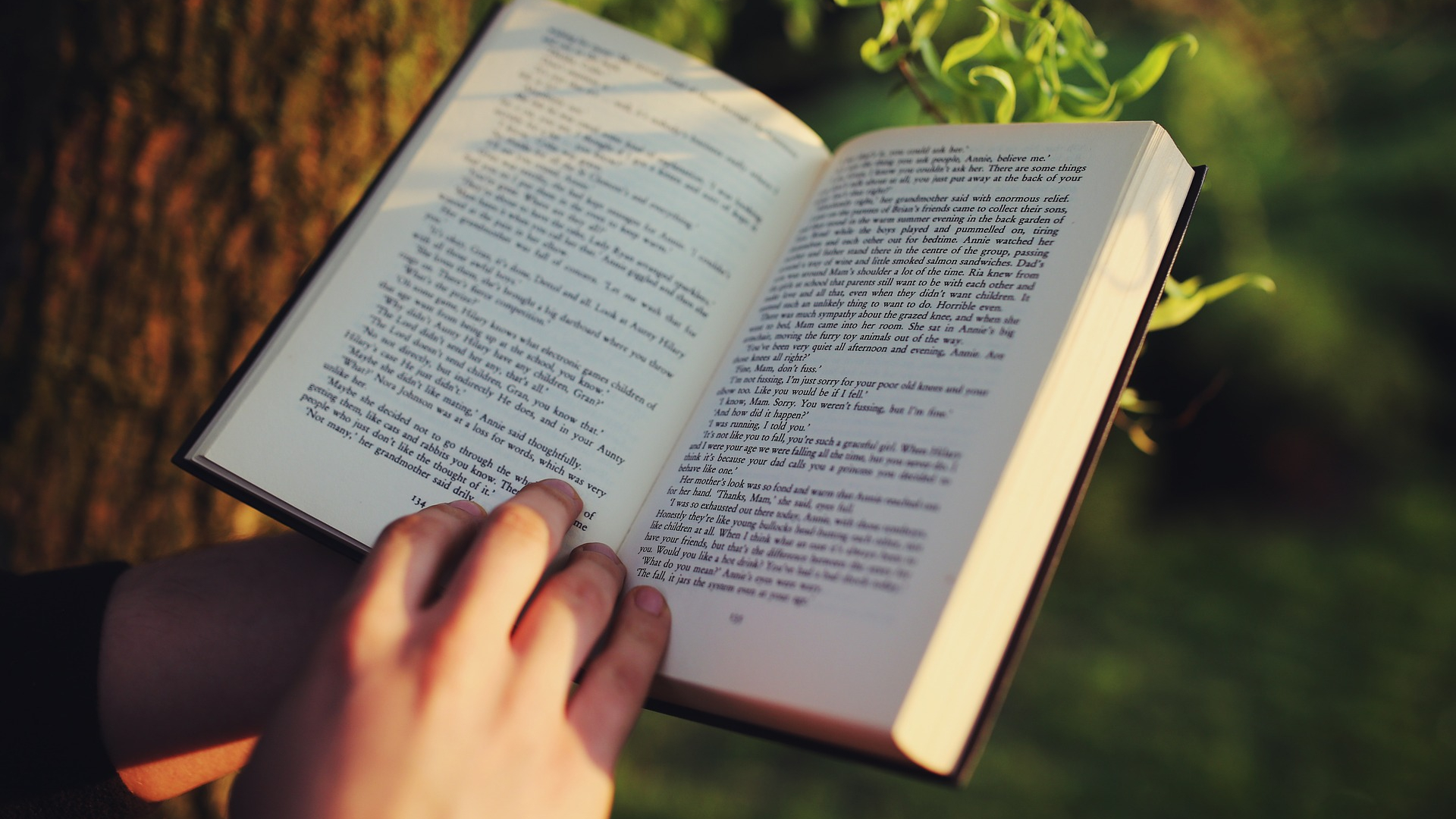 an open book held by a hand