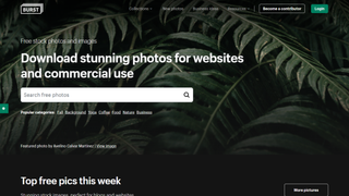 Burst by Shopify, a free stock photo site for businesses