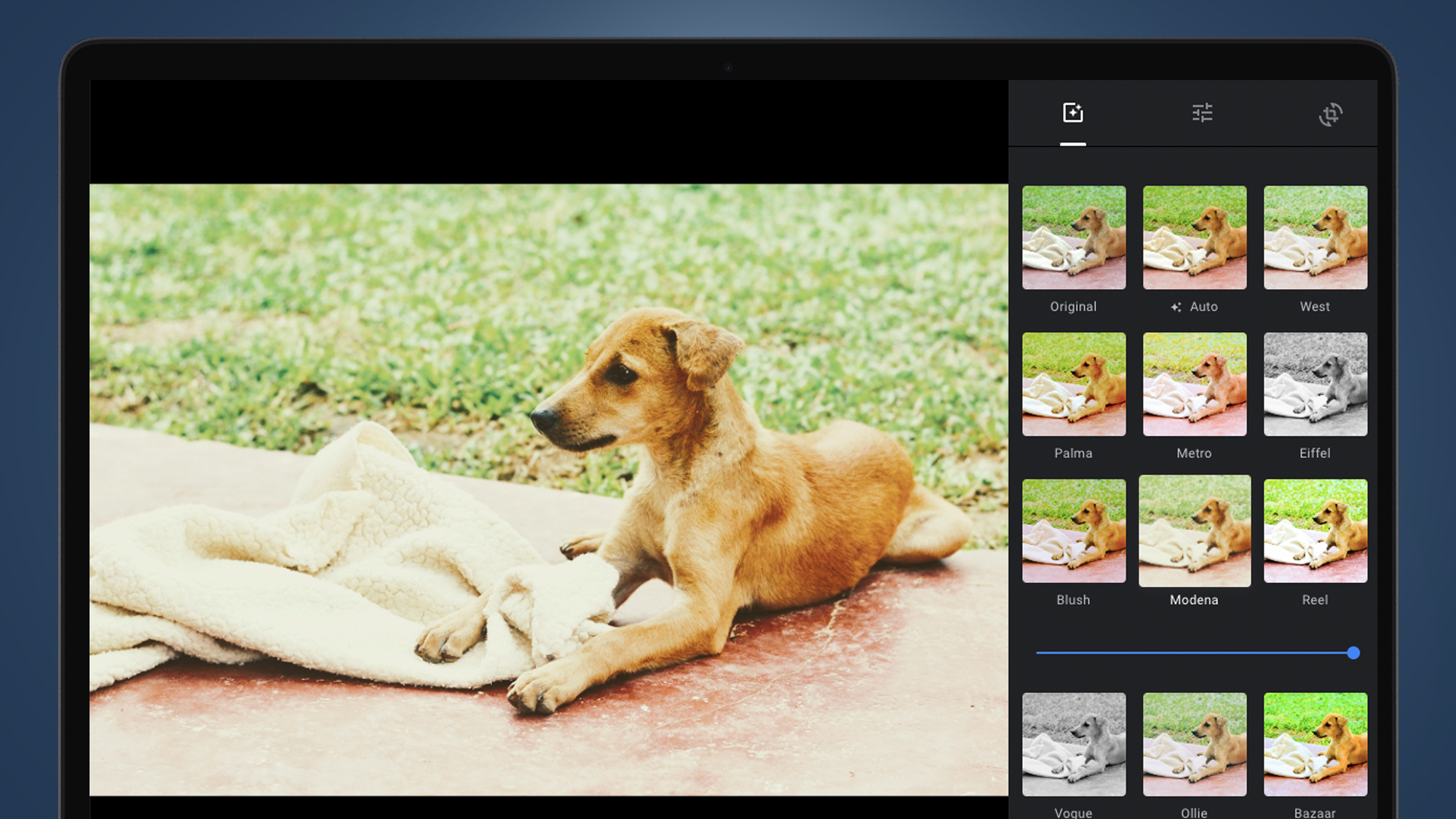 A laptop screen showing the Google Photos edit tools