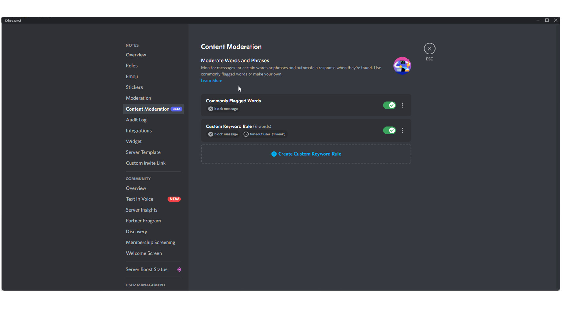 Discord AutoMod