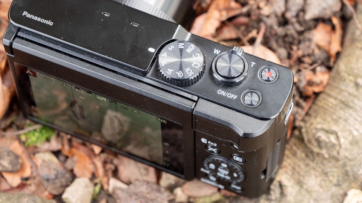 An image of the Panasonic Lumix ZS99 / TZ99