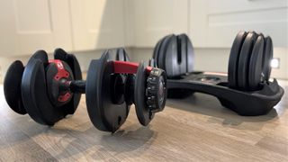 Bowflex SelecTech 522 Adjustable Dumbbells