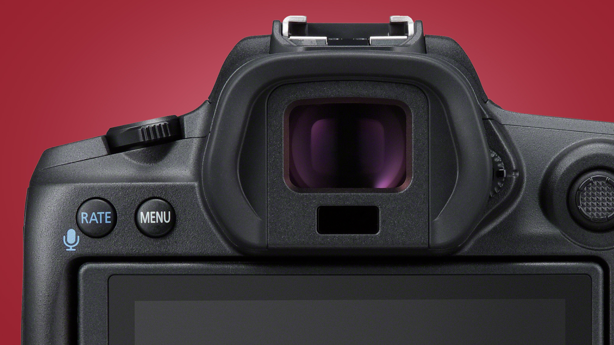 Canon EOS R5 vs R6
