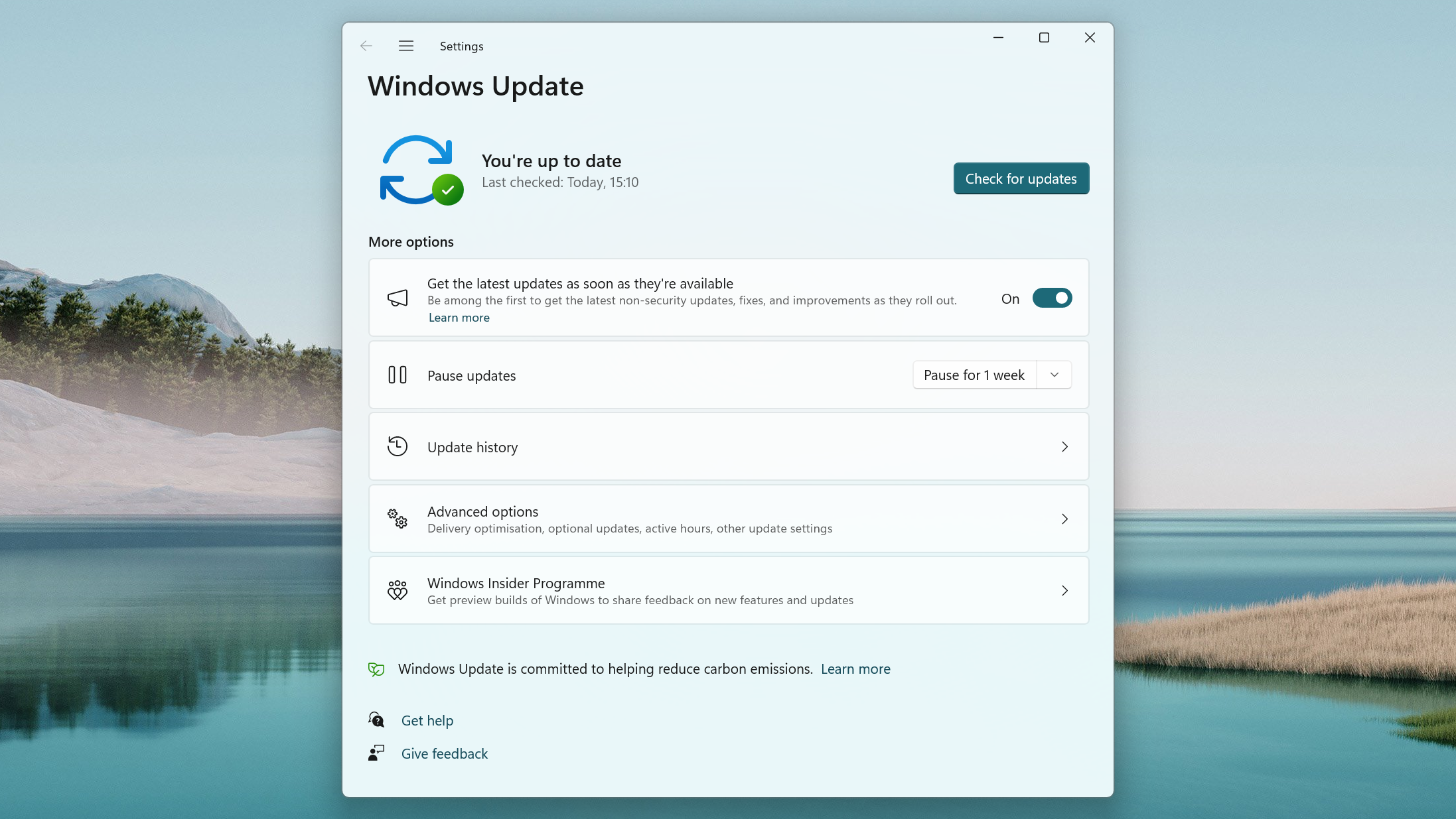 Screenshot of the Windows Update app