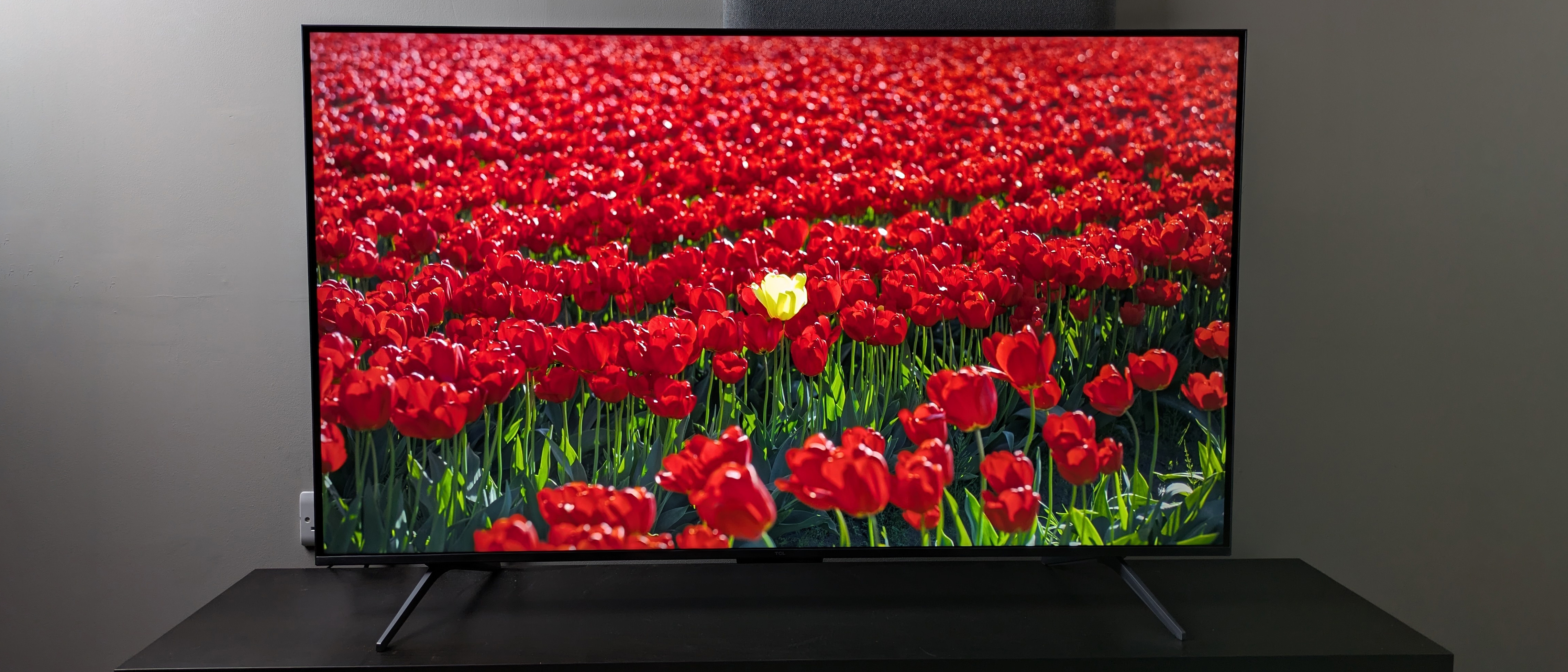 TCL C6K hero image with red flowers on screen 