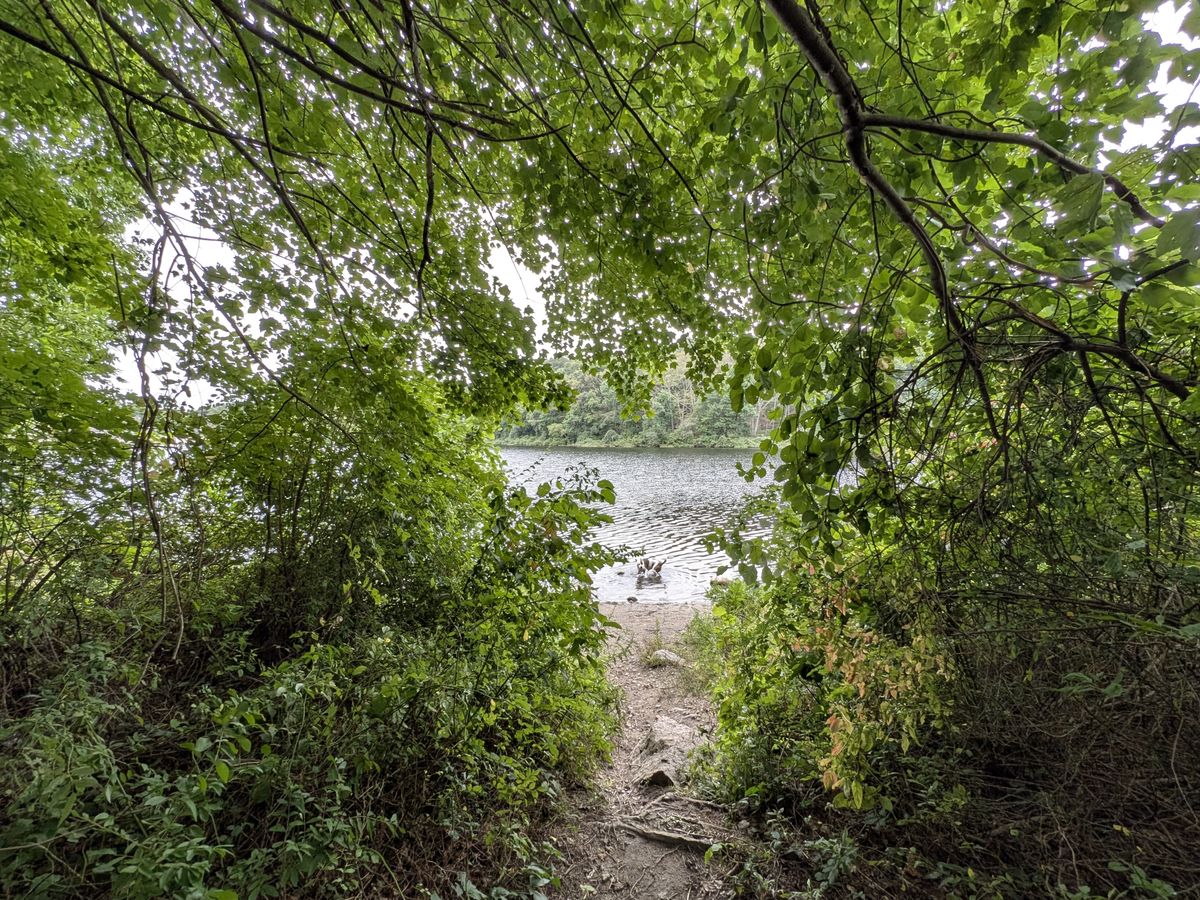 Google Pixel 9 Pro Fold camera image samples
