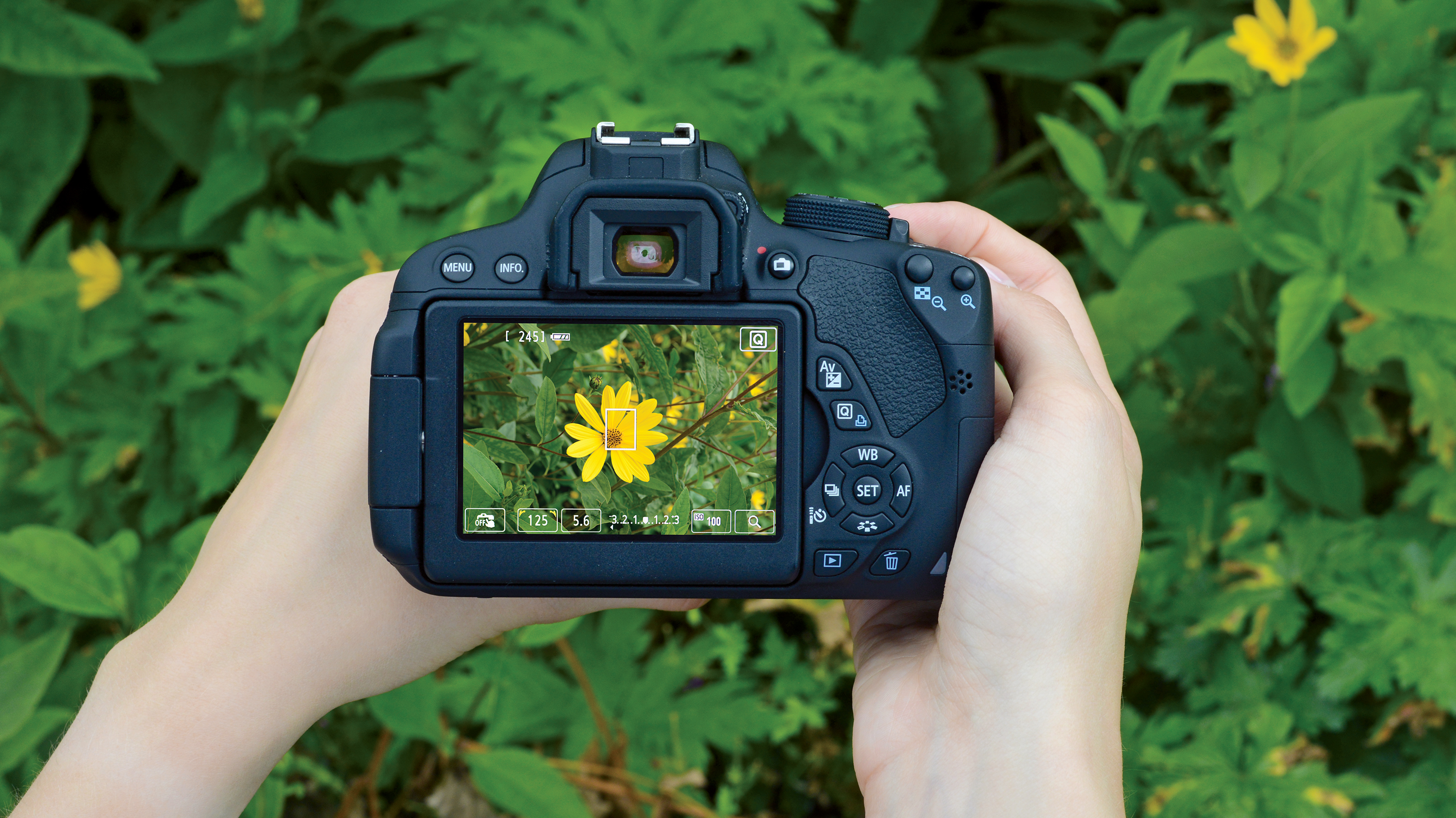 Shooting in Live View mode locks the mirror up to reduce the risk of vibartions