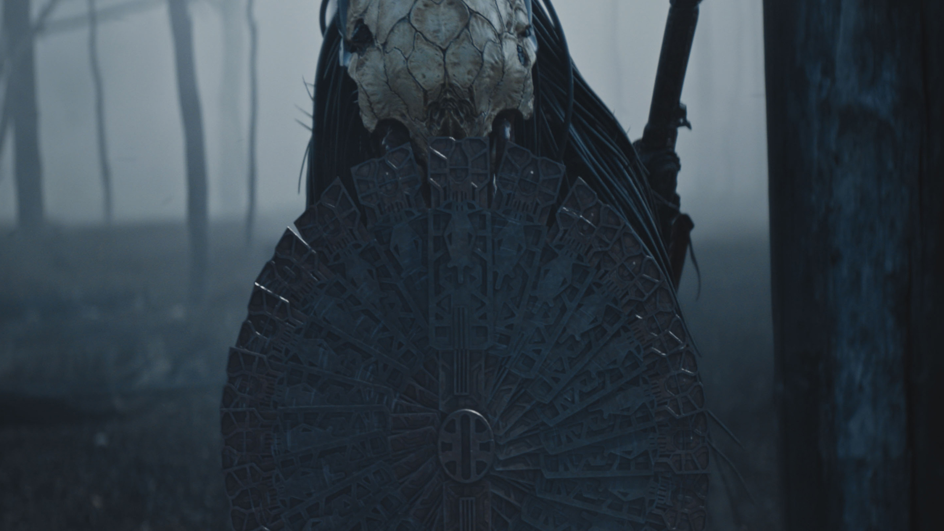 The Predator stares directly into the camera, shield held up, as it prepares to fight in Hulu/Disney Plus movie Prey