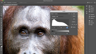 Adobe Photoshop CC 2021
