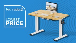 FlexiSpot E1 Plus standing desk