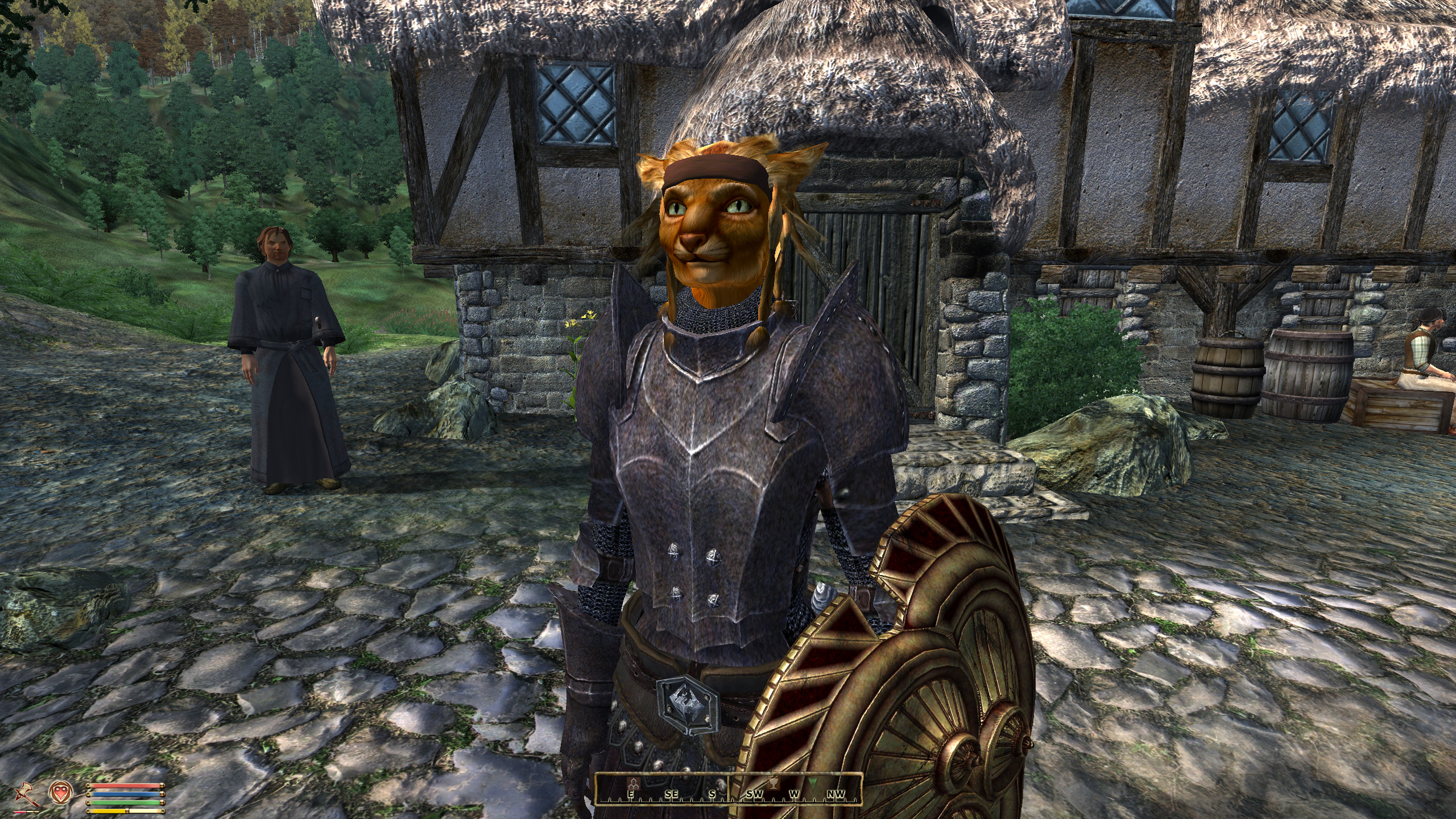 Oblivion modding
