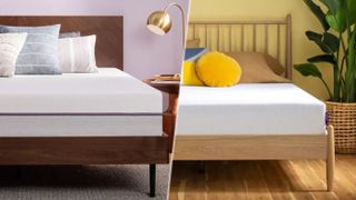 Purple mattress vs PurpleFlex