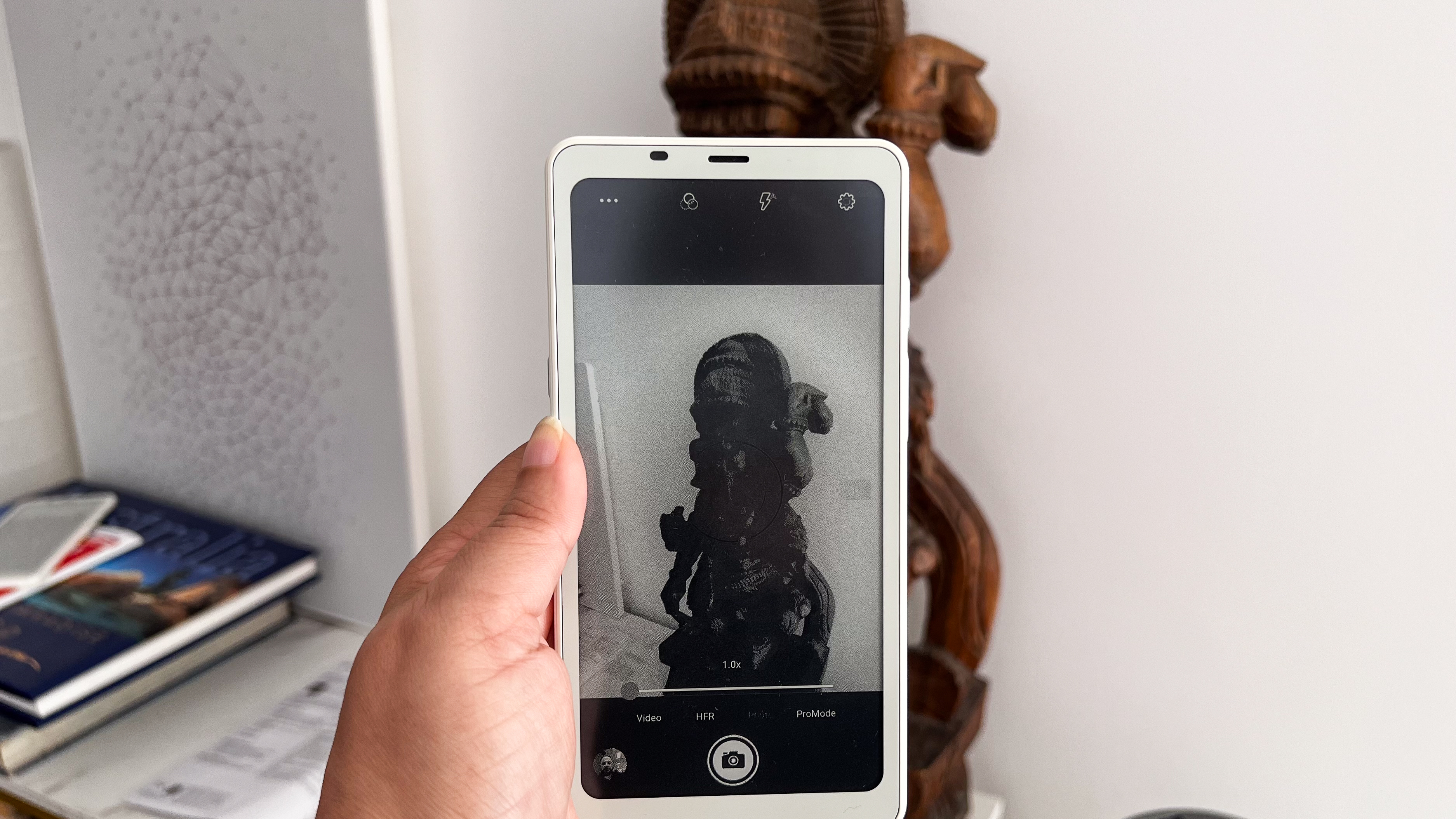 The camera app on the Onyx Boox Palma 2 being used to take a photo